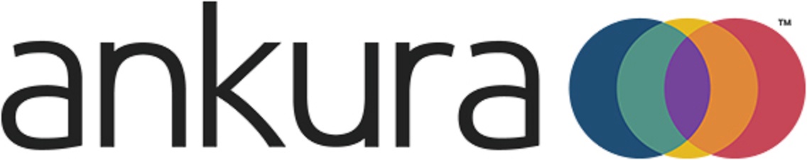 Ankura Consulting Group logo