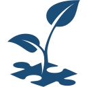 BlueSprig logo