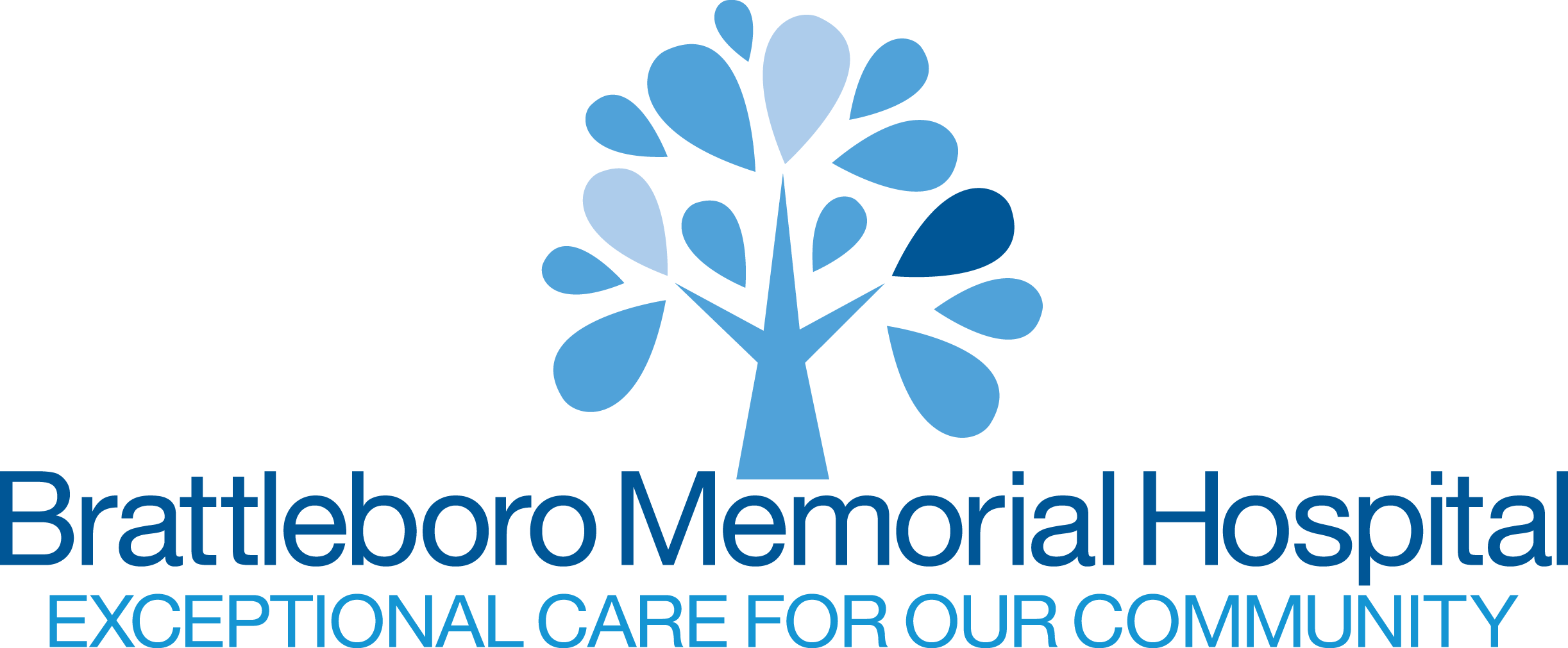 Brattleboro Memorial logo