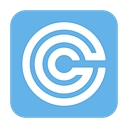 Camlin Group logo
