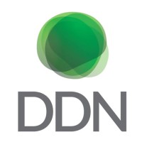 DDN logo
