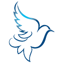 Dove Healthcare logo