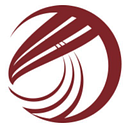 Elite Medical Staffing logo
