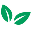 Fresh Express logo