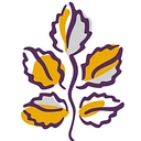 Main Template logo