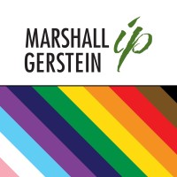 Marshall, Gerstein & Borun LLP logo