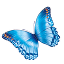 Nationwidechildrens Nchcareers logo