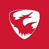 Skyeton logo