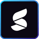 Summize logo