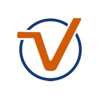 TechVirtue LLC logo