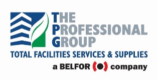 THE PROFESSIONAL GROUP logo