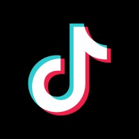 TikTok USDS JV logo