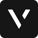 Vise logo