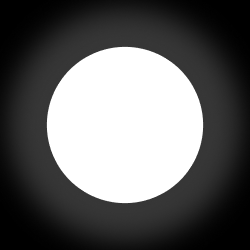 White Circle logo